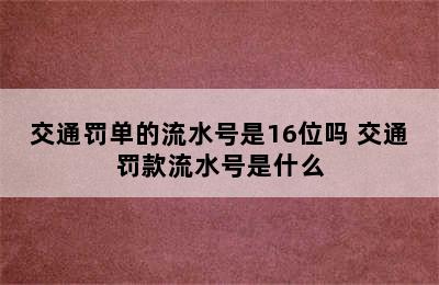 交通罚单的流水号是16位吗 交通罚款流水号是什么